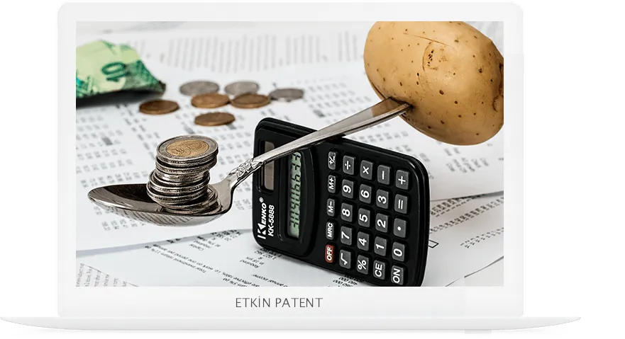finansal davranışlara dair kombinasyon modeller-Afyon Patent